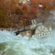 Niagara Falls, Canada: Niagara Adventure Theatre
