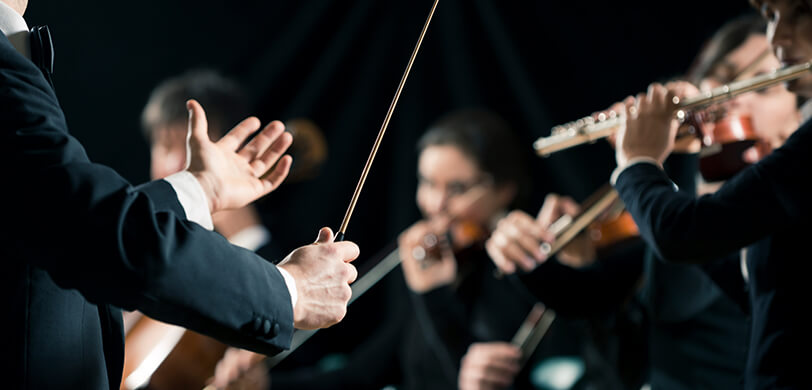 Skyfall in Concert
