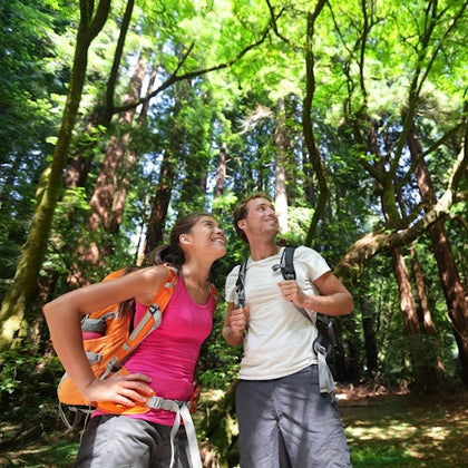 Full-Day Wine & Woods Tour