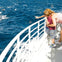 Long Beach Whale Watching & Dolphin