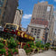 Immersive Guided Tour of Brooklyn