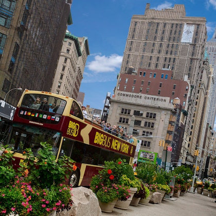 Immersive Guided Tour of Brooklyn