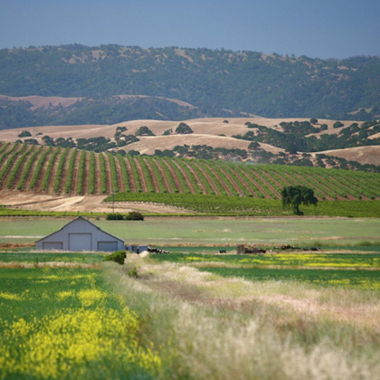 From San Francisco: Napa & Sonoma Valley Full Day Wine Tour