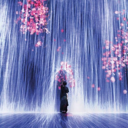 Superblue Miami Immersive Art Experience feat. teamLab