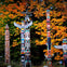 Vancouver: Hop-On-Hop-Off Bus Tour