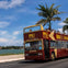 Big Bus 