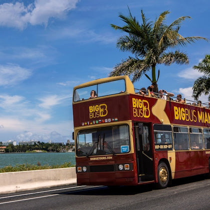 Big Bus 