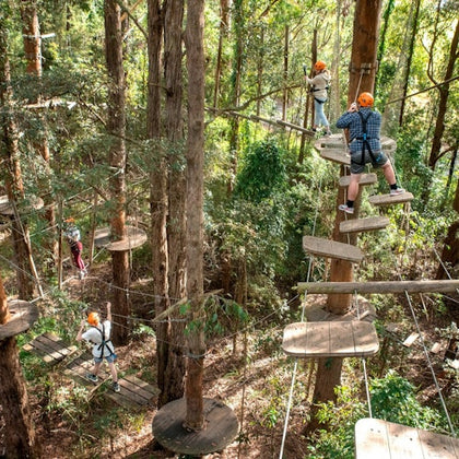 People wearing safety gear navigate wooden platforms and bridges among tall trees in a forest adventure park.