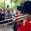 London: Guided Walking Tour + Changing of the Guard + Kensington Palace Entry