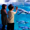 Two children watch and reach toward swimming penguins through the glass of a large aquarium.