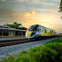 A modern passenger train passing by a station at sunset with greenery and palm trees nearby.