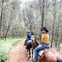 Two people riding horses on a dirt path in a forested area, with trees and greenery surrounding them.