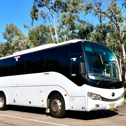 Brighton's comfortable coach