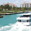 Best of Miami Small Group Tour