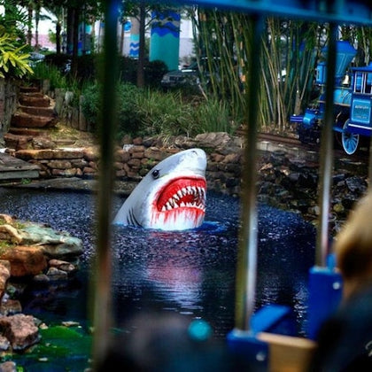 Houston City Tour + Downtown Aquarium