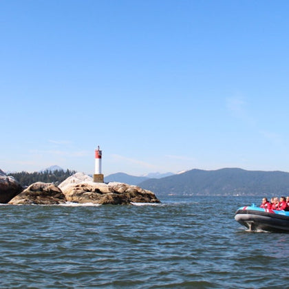 Vancouver: City and Seal Cruise