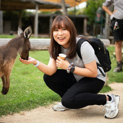 Feed the kangaroo with Brighton Tours at Sydney Zoo for free!