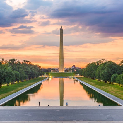 Washington D.C.