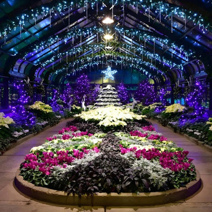 Floral Displays - Available During the Winter Festival of Lights (Approx. Nov 16 to Jan 5, dates vary)