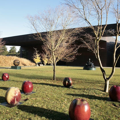 A sculpture garden with large apple sculptures, leafless trees, and a modern building in the background under a clear sky.