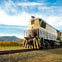 A beige locomotive traveling on tracks by a vineyard, with mountains and a blue sky in the background.
