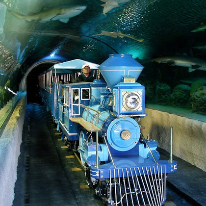 Downtown Aquarium Houston: Entry Ticket