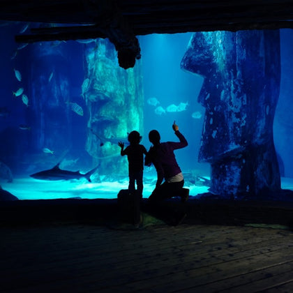 A child and an adult wave at fish and a shark through an aquarium window, with large rock formations in the background.