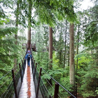Malahat Skywalk