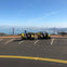 Two small yellow electric vehicles parked in a scenic spot overlooking the Golden Gate Bridge and San Francisco skyline.