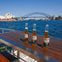 Premium Vivid Cruise