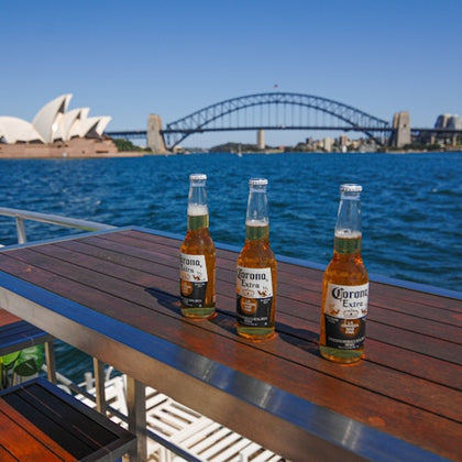 Premium Vivid Cruise