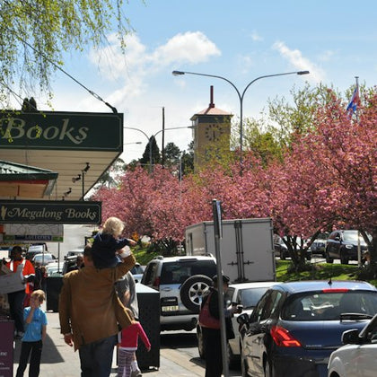 Boutique town i the Blue Mountains