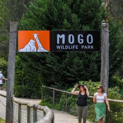 Animal encounters at Mogo Wildlife Park
