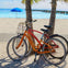 The Key West Sightseeing Flex Pass: Choice of 2 - 6 Attractions