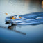 San Francisco: City Sites by Seaplane
