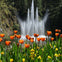 Orange tulips and yellow flowers in the foreground with a tall water fountain and dense forest in the background.
