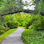 Lake Trail path
