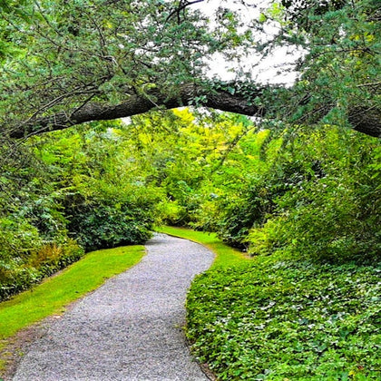Lake Trail path