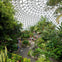 Bloedel Conservatory