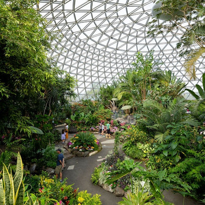 Bloedel Conservatory