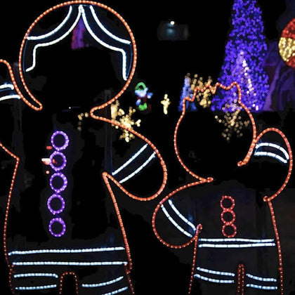 Tour the Winter Festival of Lights (Select dates, around November 16 to Jan 5, exact dates vary)