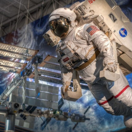 Houston City & NASA Space Center Tour