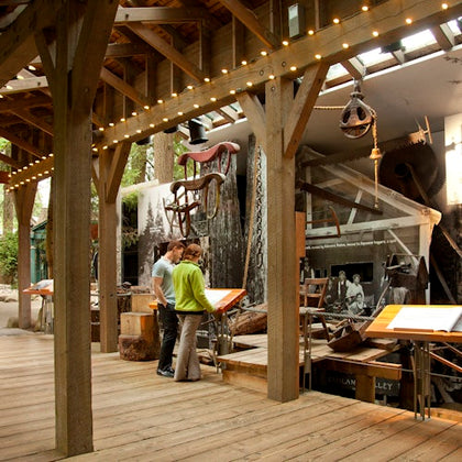 Vancouver: Capilano Suspension Bridge Park & City Tour