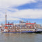Cruising through the harbour