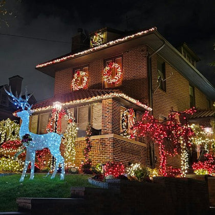 Reindeer on the lawn of this house