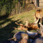 Lions at Zoo
