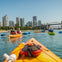 Kayak and Coffee Tour