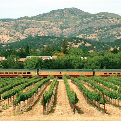 A vineyard with rows of grapevines, a passenger train passing by, and mountains in the background.