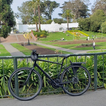 Bike in Golden Gate Park