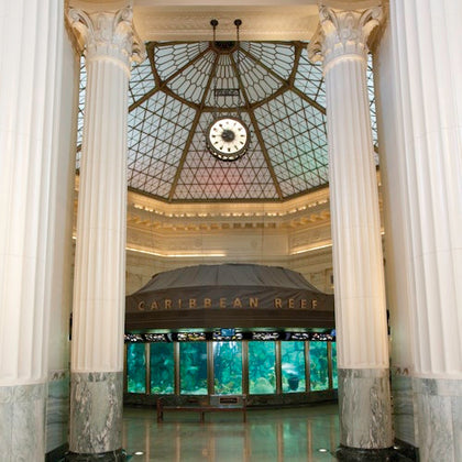 Chicago CityPASS®